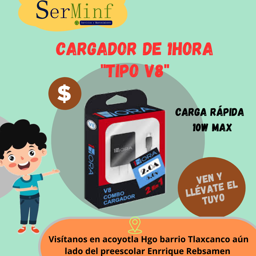 Cargador de 1Hora Tipo V8 