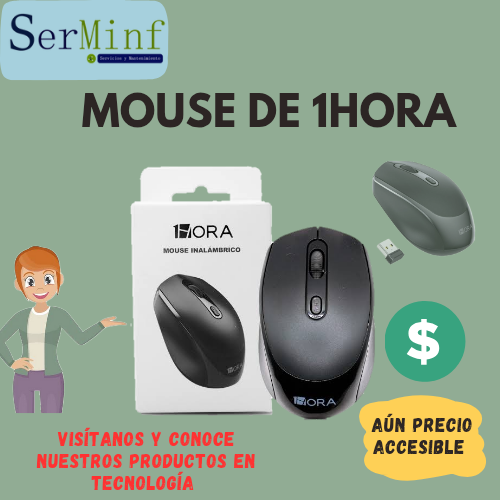 Mouse inalámbrico de 1Hora